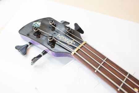 Spector_Purple_6.jpg