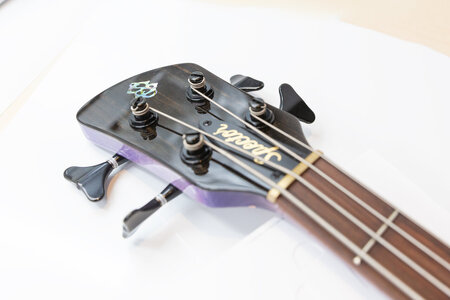 Spector_Purple_5.jpg