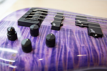 Spector_Purple_8.jpg