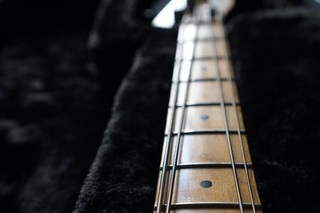 DSC03766_bildgröße ändern.jpeg