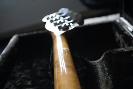 DSC03767_bildgröße ändern.jpeg