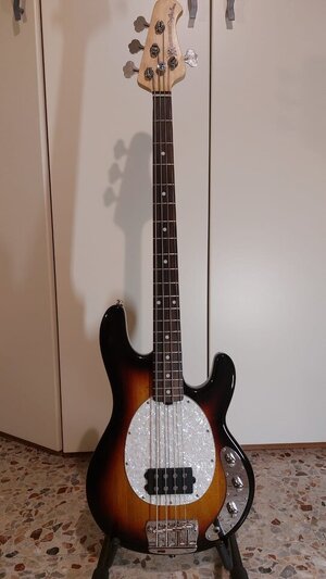 STERLING BY MUSIC MAN RAY 24 CLASSIC