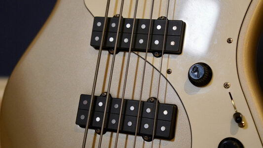 Fender Roscoe Beck V - 6.jpeg