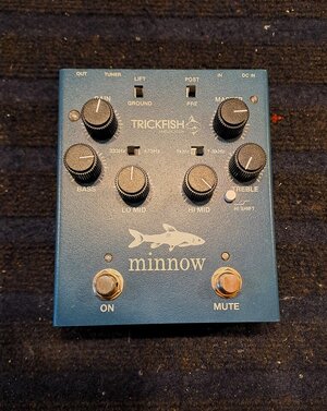 minnow-front.jpg minnow-front.jpg