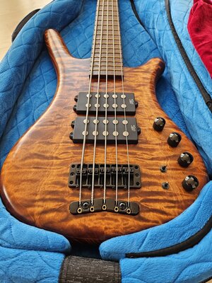 Warwick Corvette $$5 Masterbuilt