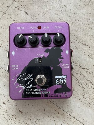 EBS Billy Sheehan Signatur Drive