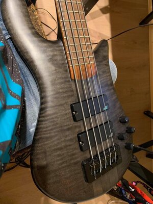 Spector Forte 5 - US, pre-Korg, Stuart Spector Sig