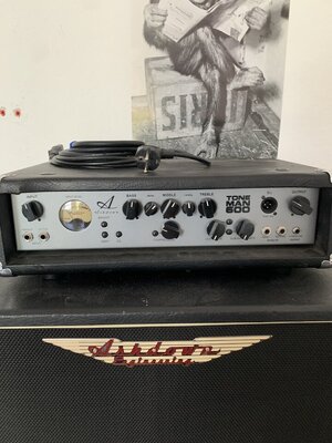 Ashdown Toneman 600 mit 810 Cab