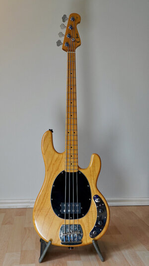 K. Bass MM - 2.jpeg