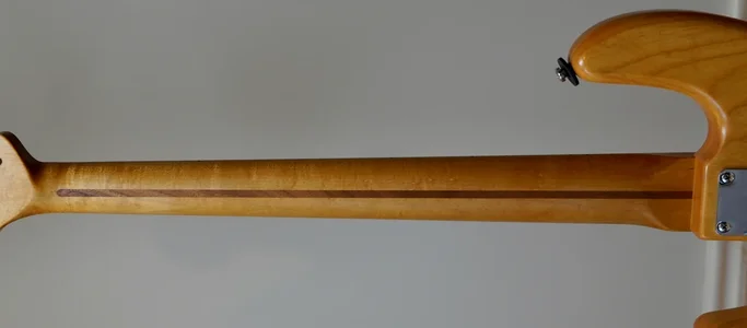 K. Bass MM - 14.webp