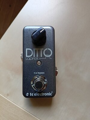 TC Electronic Ditto Looper