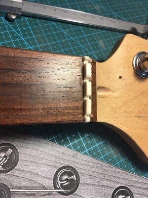 B20B17E4-2989-4888-85C3-202F0967E2B9.jpeg B20B17E4-2989-4888-85C3-202F0967E2B9.jpeg