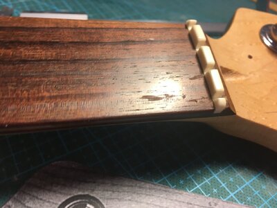 FA5E1501-1576-42B8-8CA1-7203A2E32374.jpeg FA5E1501-1576-42B8-8CA1-7203A2E32374.jpeg