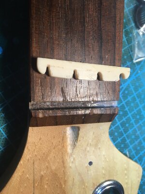 1938E802-46E4-4E5E-9F78-5AB340FDE0E6.jpeg 1938E802-46E4-4E5E-9F78-5AB340FDE0E6.jpeg