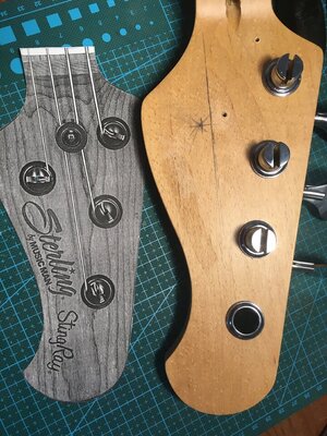 45BFDC4D-6146-4C46-9601-5039C283DFEC.jpeg 45BFDC4D-6146-4C46-9601-5039C283DFEC.jpeg