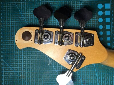 64C9A43E-7ED3-4A90-9CF4-B43A9E591CB6.jpeg 64C9A43E-7ED3-4A90-9CF4-B43A9E591CB6.jpeg