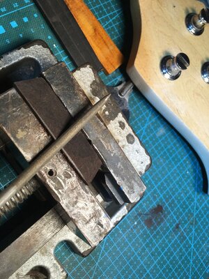 3B8FD3F7-CF1B-4FB9-8ABB-6B63C47BB178.jpeg 3B8FD3F7-CF1B-4FB9-8ABB-6B63C47BB178.jpeg