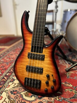 The Groove Shoppe NYC GS5 Fretless, very rare!