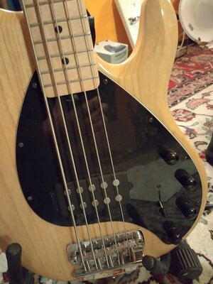 Preis Update: Musicman Sterling Ray35