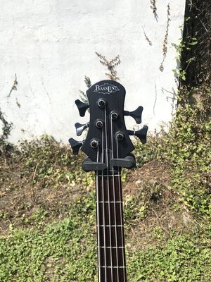 BassLine Buster Classic CW 5 zu verkaufen