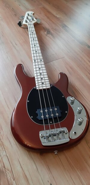 Sterling-By-Musicman Stingray Short Scale
