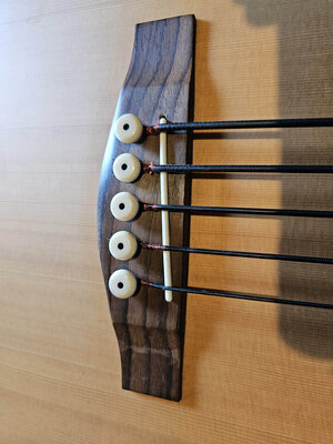 5_Saiter_fretless_06.jpg