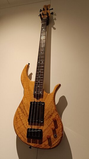 Mirel Transilvania custom bass
