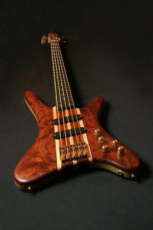 AP Bass 01-3.jpg AP Bass 01-3.jpg