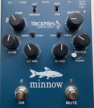 Trickfish Minnow