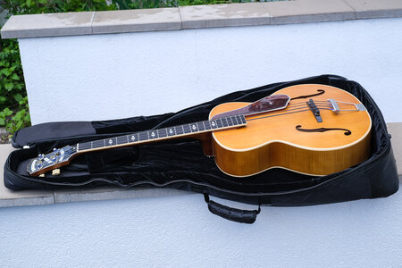 Epiphone Masterbilt De Luxe Akustikbass