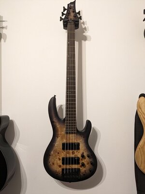 ESP LTD B-5 Charcoal Burst