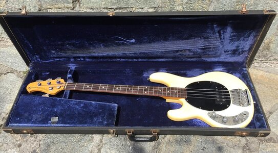 Suche MusicMan Stingray Sabre Bass Case 80s vintage