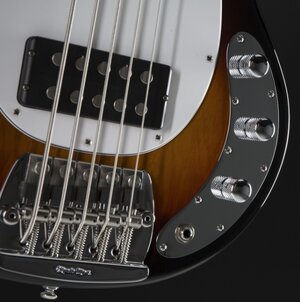 Suche Musicman Classic Stingray 5