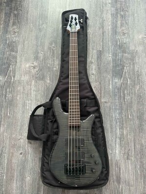 Spector Euro Bantam 5 (BANTAM5BKS) Black Stain / 1400,- VB