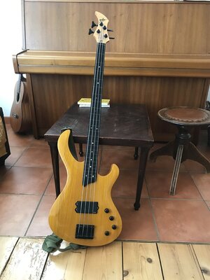 Esh Various fretless mit unfassbarem Tiefgang, 35" Mensur