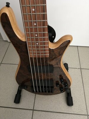 Spector  Custom Sechssaiter