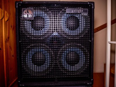 SWR Golight 4x10 Bassbox