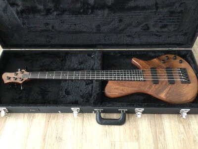 Franz Bass - Sirius 5 String Figured Walnut Premium