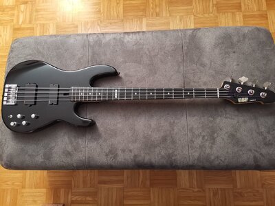 ESP Surveyor-II Standard Bass