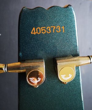 IMG_20240602_165014-01.jpeg IMG_20240602_165014-01.jpeg