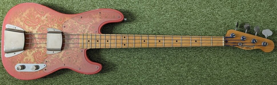 Another Gooodbye... Docwood Pink Paisley Telecaster Bass