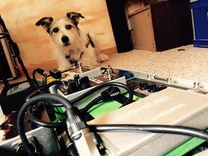 13083168_970987736349841_2496032154290697609_n.jpg 13083168_970987736349841_2496032154290697609_n.jpg