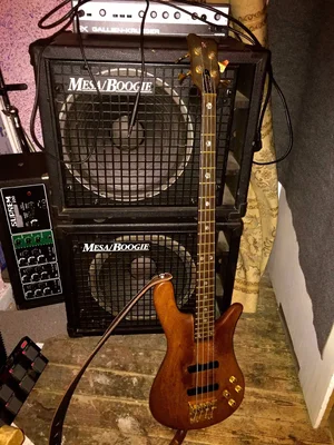 warwick boogie2.webp