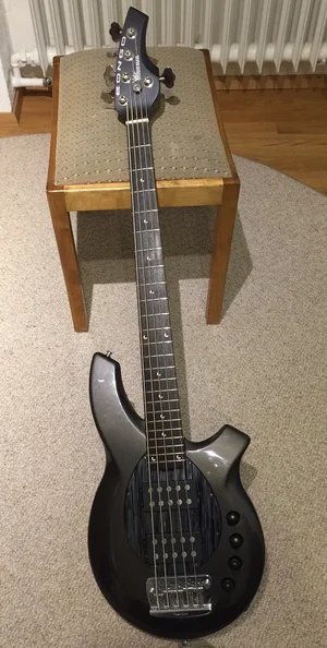 bongo.webp bongo.webp