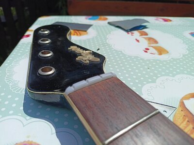 IMG20240608141255.jpg
