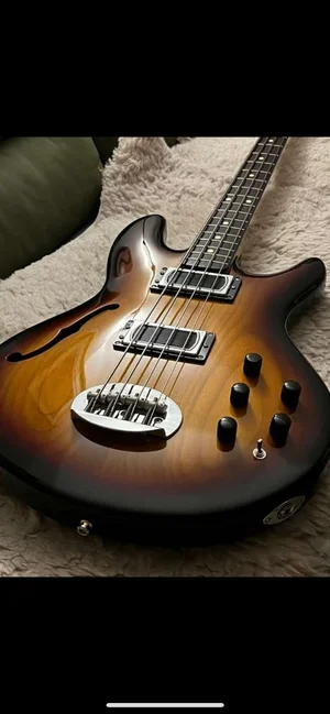 Lakland Skyline Hollowbody 34
