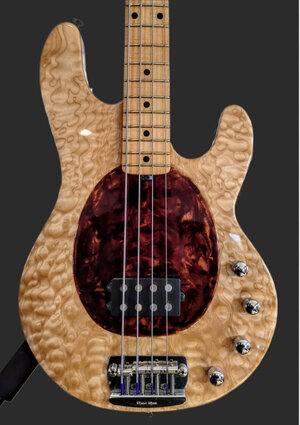 Suche Music Man Sting Ray 20th Anniversary
