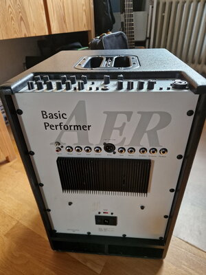 Rarität: Combo 2-Kanal AER Basic Performer aus 1999 (?)