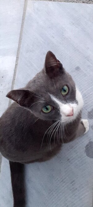 🔔KEN SMITH GESUCHT🔔