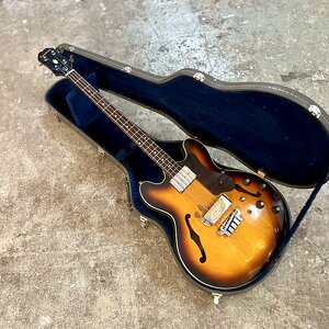 Suche Gibson ED-2D oder Epiphone Rivoli 2 Bass